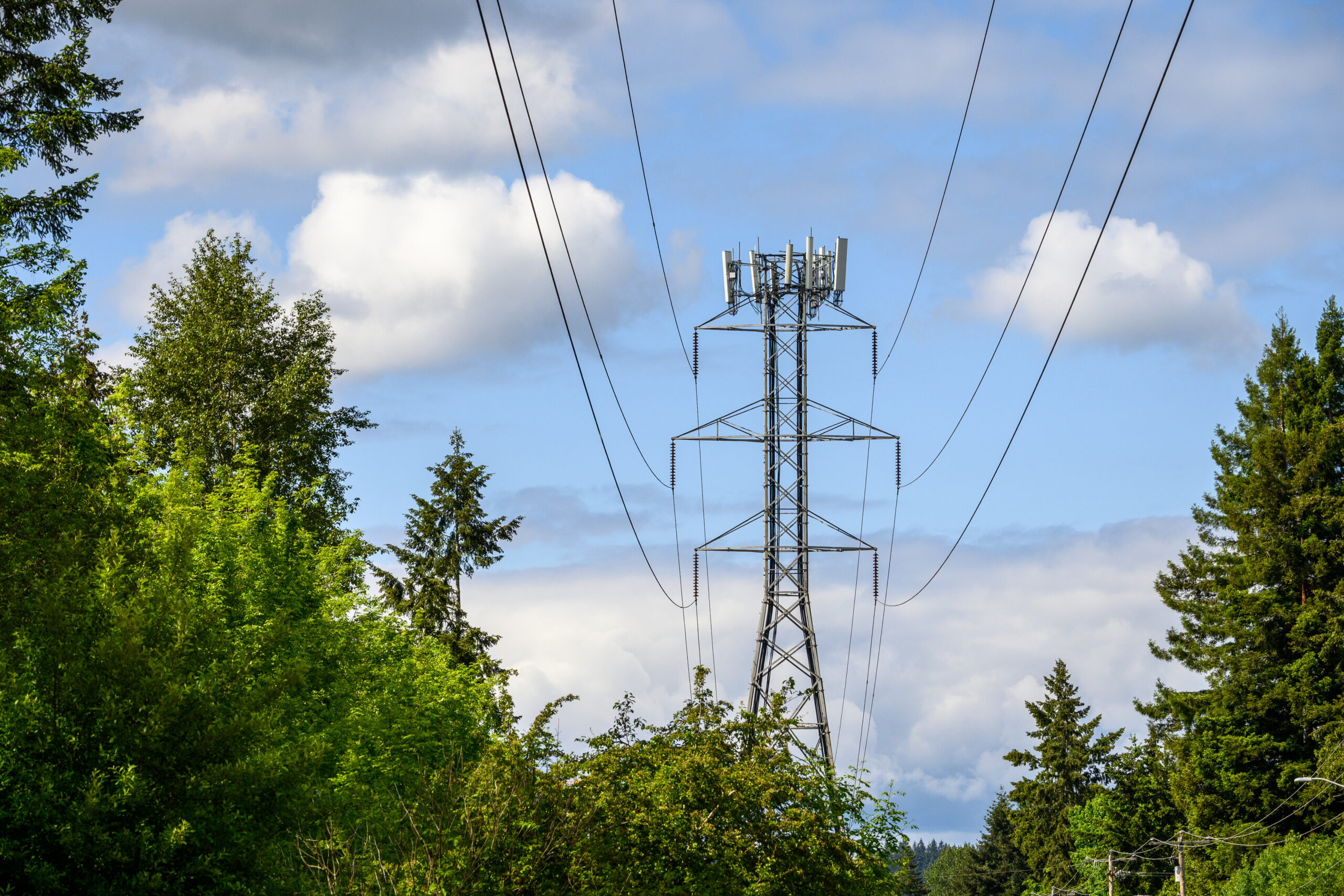 Critical Wireless Infrastructure in Trees