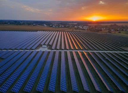 A large field of solar panels at sunrise