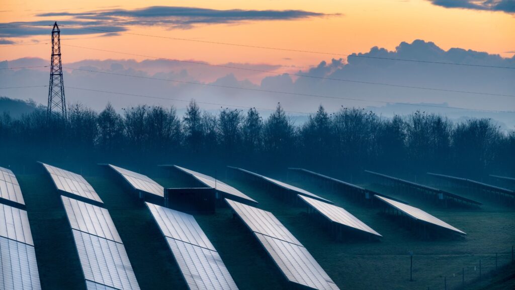 Field of solar panels 