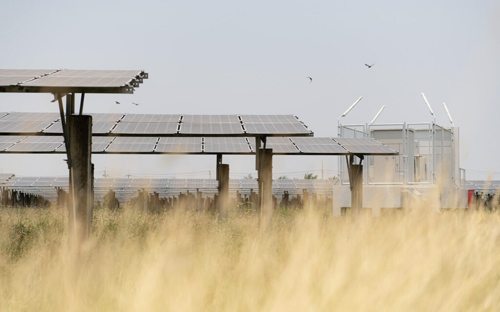 An array of solar panels stretches on into the distance