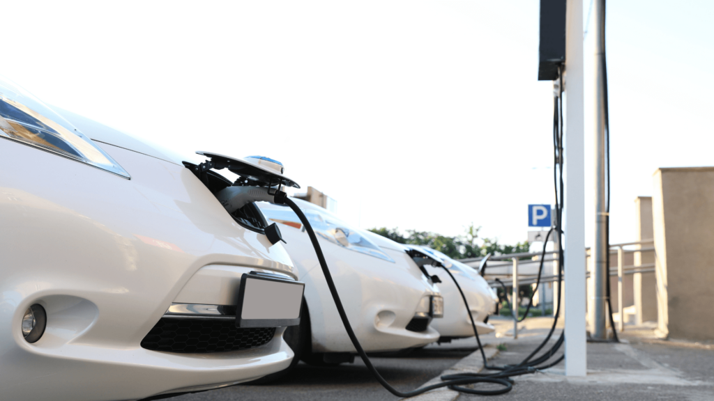 a row of white EVs charging