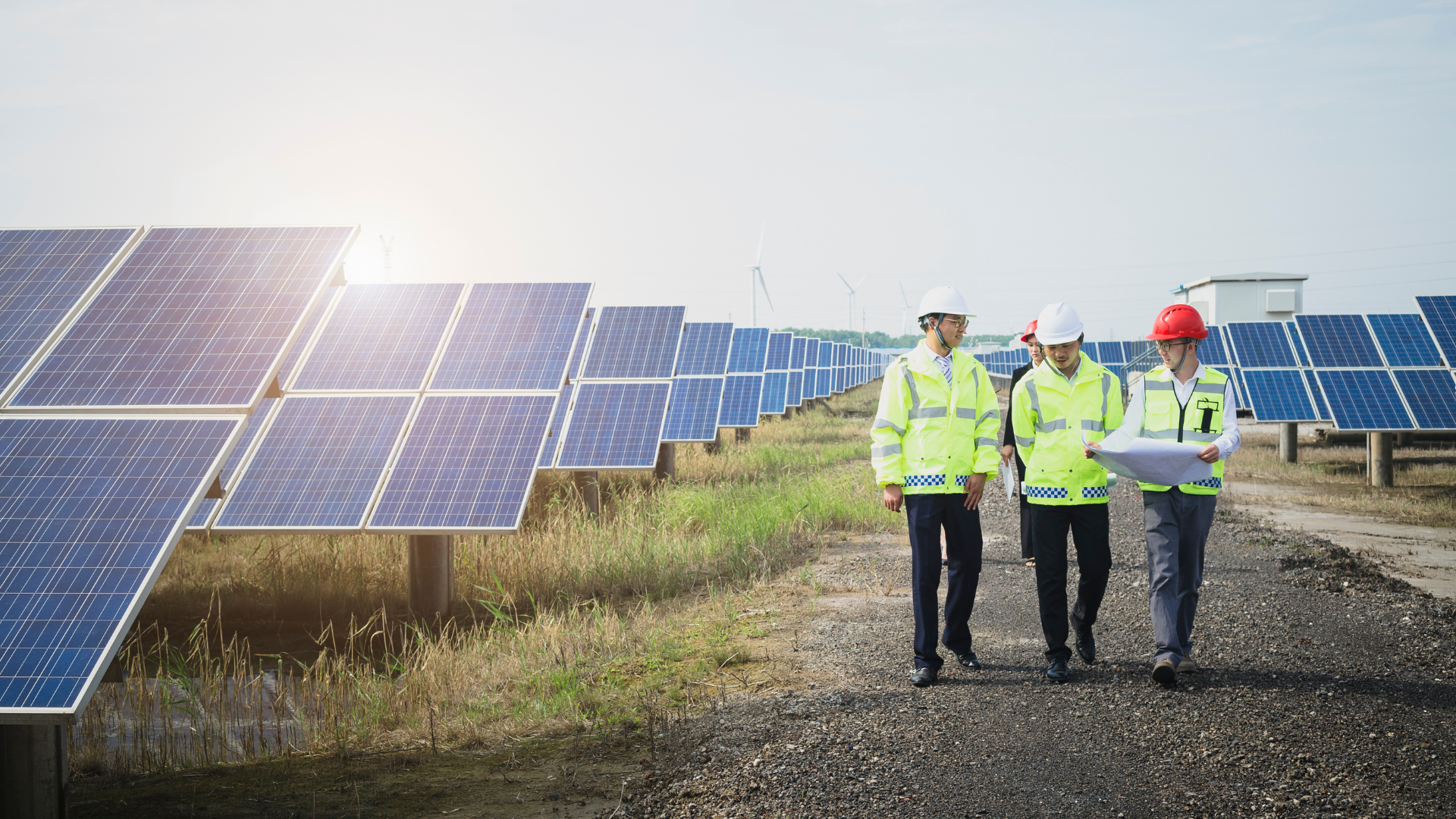 Asian engineers survey a solar panel field